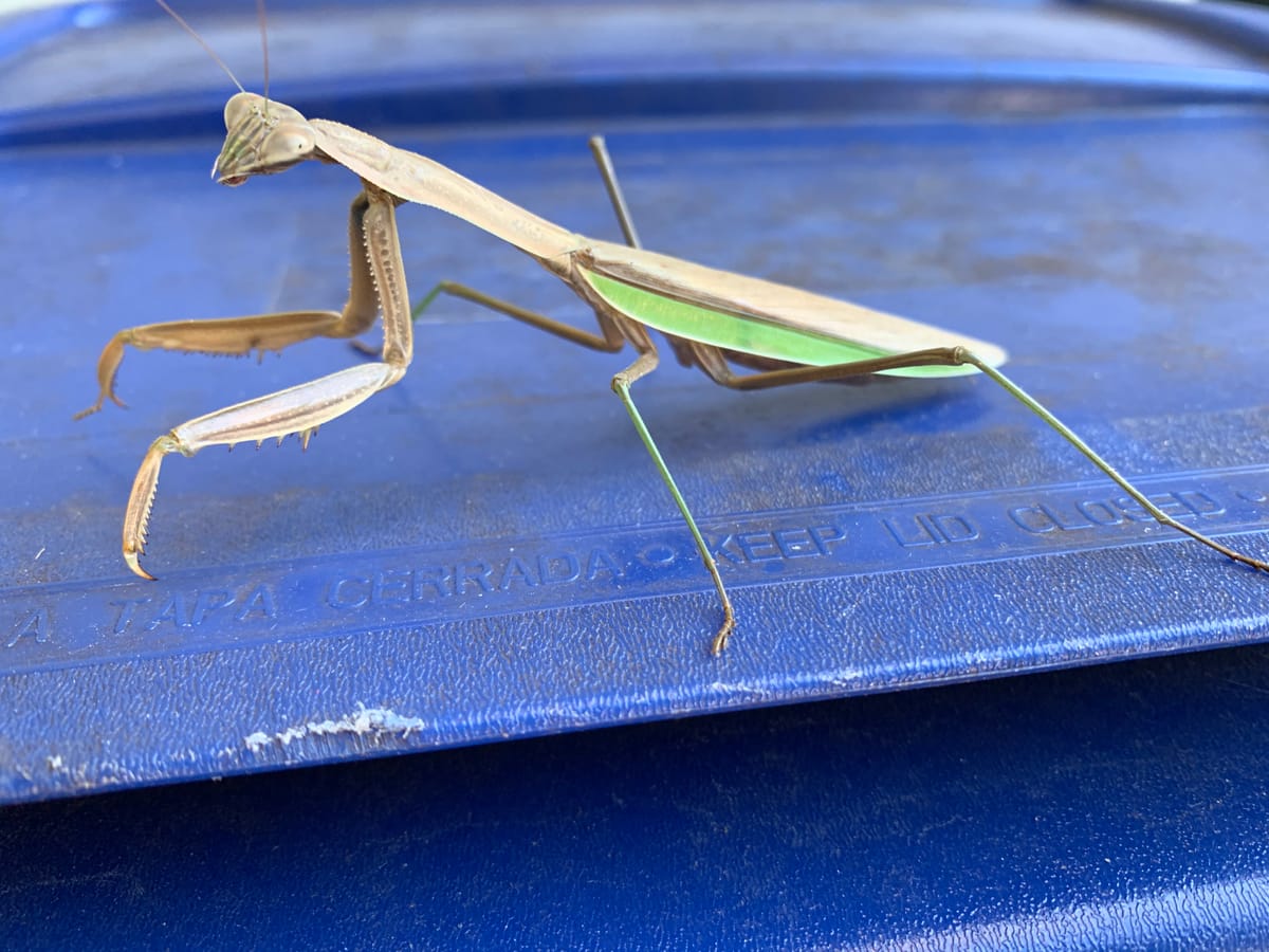 7. The Unknowable Is the Ground of Whatever Is Known